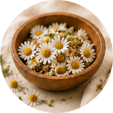 Chamomile